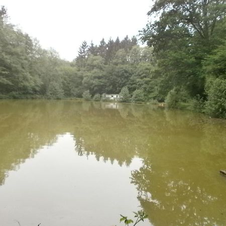 Gîte LE SOUS-BOIS Cerfontaine Exterior foto
