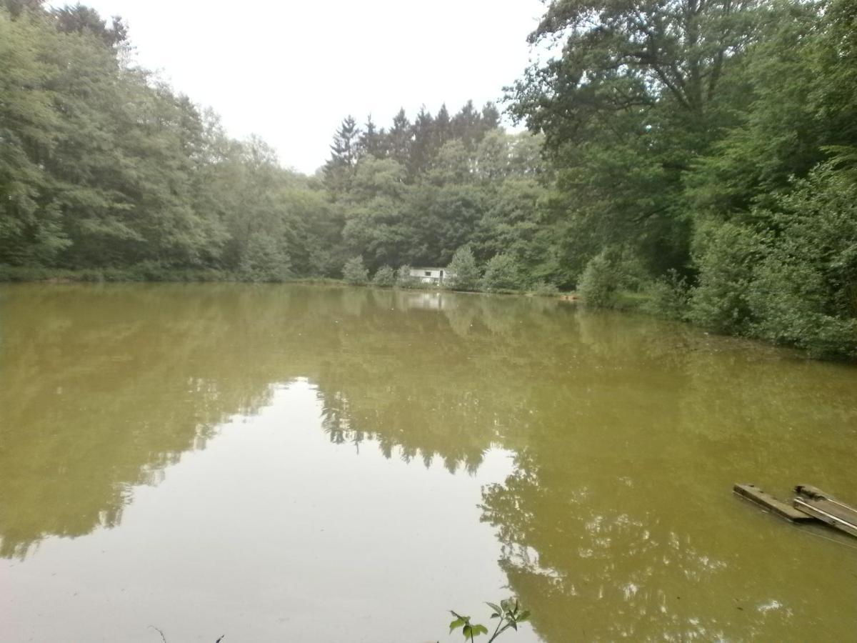 Gîte LE SOUS-BOIS Cerfontaine Exterior foto